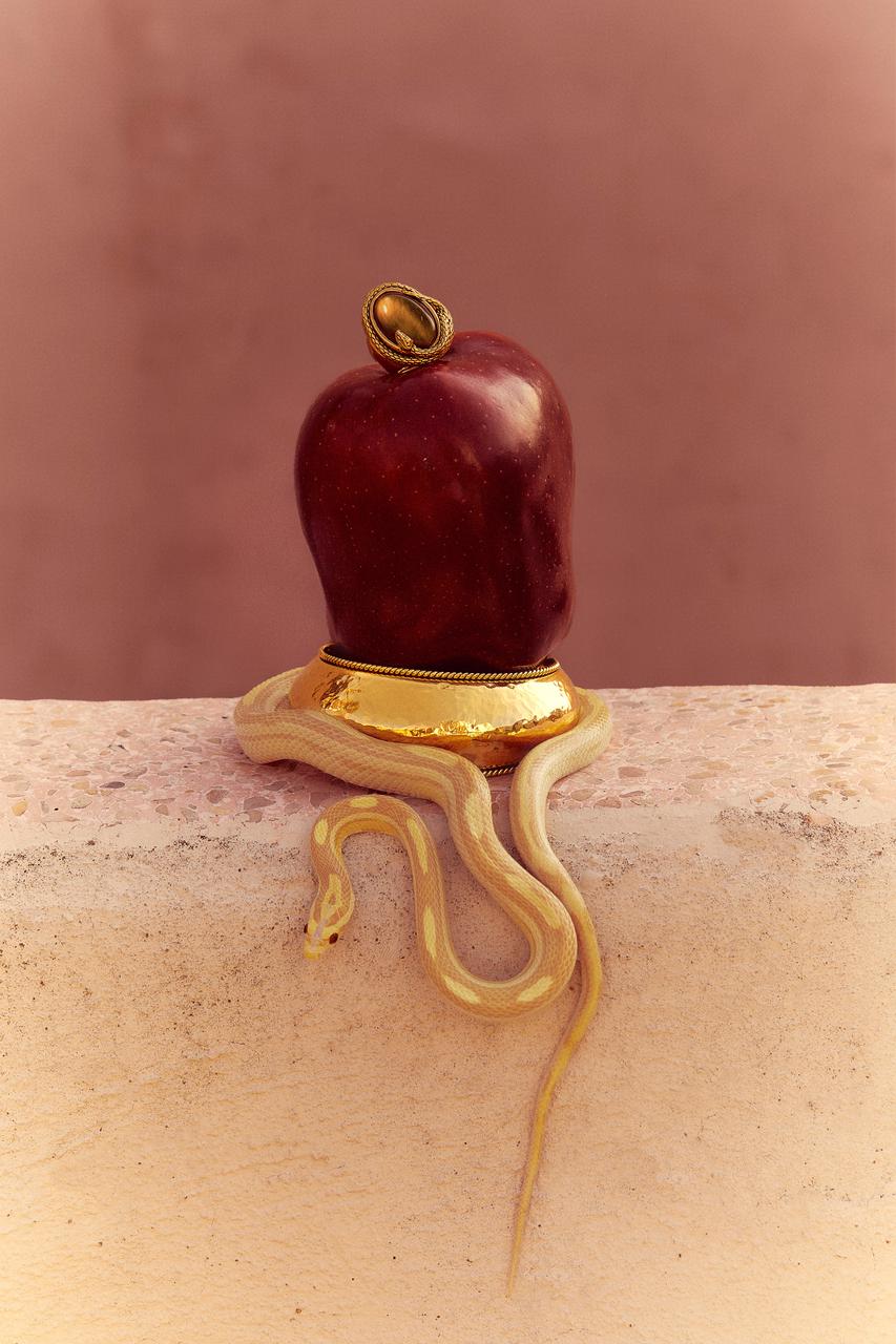 How to Style Snake Jewelry: A Modern Guide for Everyday and Special Occasions